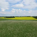 Nussbaumhof Mit Koppel
