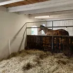 Nussbaumhof Mit Koppel *