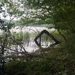Gospodarstwo wiejskie Nussbaumhof Mit Koppel Plath
