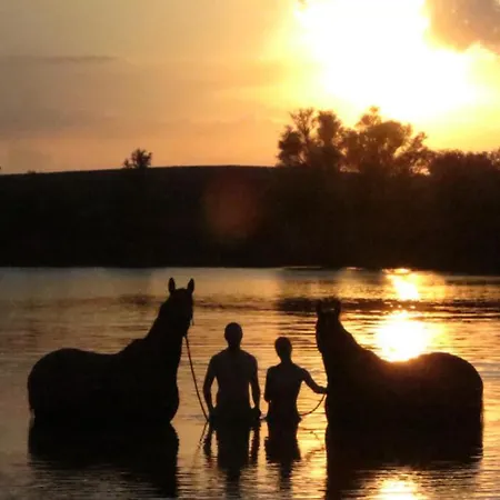 Nussbaumhof Mit Koppel *