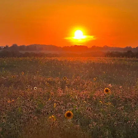 Nussbaumhof Mit Koppel Plath
