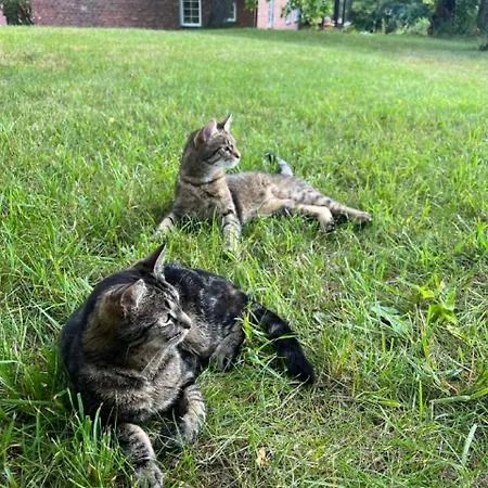 Nussbaumhof Mit Koppel * Plath