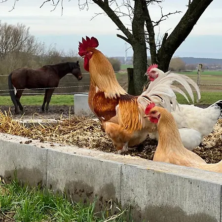 Nussbaumhof Mit Koppel * Plath