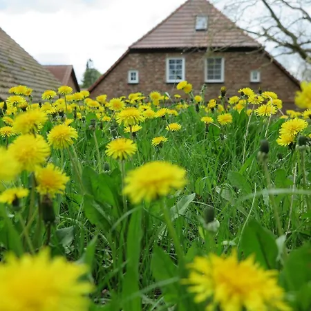 בית כפרי Nussbaumhof Mit Koppel