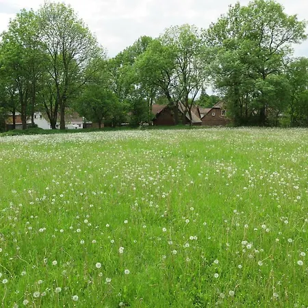 Nussbaumhof Mit Koppel Plath