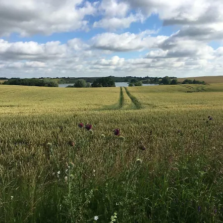 Nussbaumhof Mit Koppel *