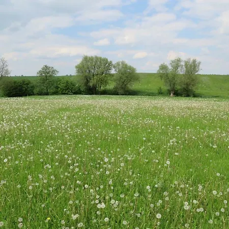 Lantställe Nussbaumhof Mit Koppel Plath