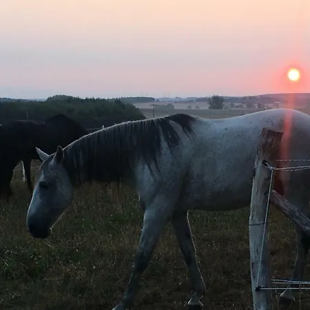 Nussbaumhof Mit Koppel Plath