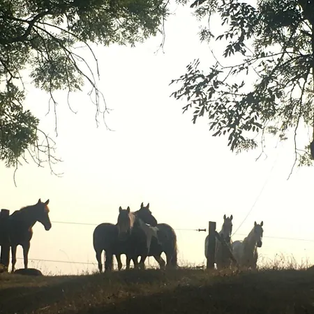 Nussbaumhof Mit Koppel * Plath