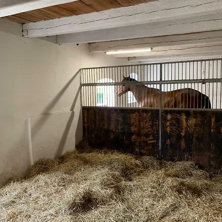 Nussbaumhof Mit Koppel *