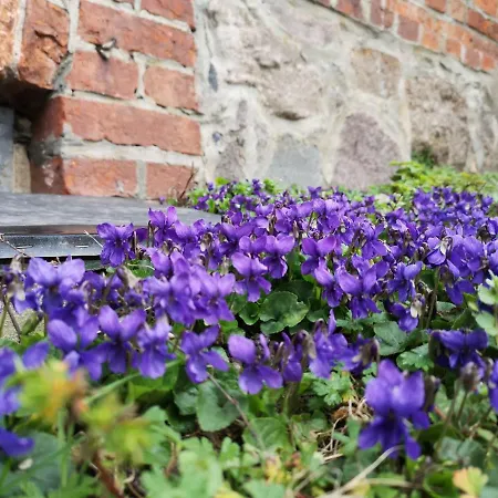 Nussbaumhof Mit Koppel *