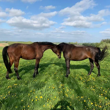 Nussbaumhof Mit Koppel
