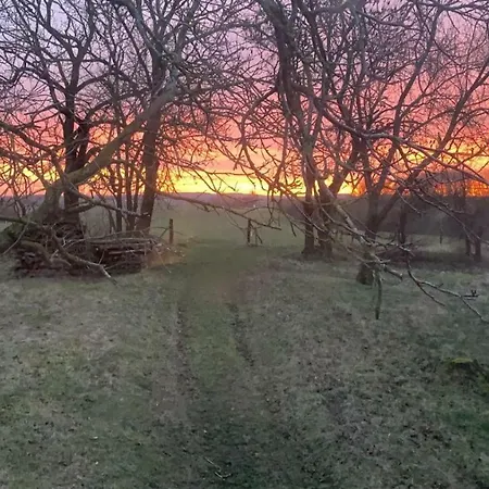 Nussbaumhof Mit Koppel * Plath