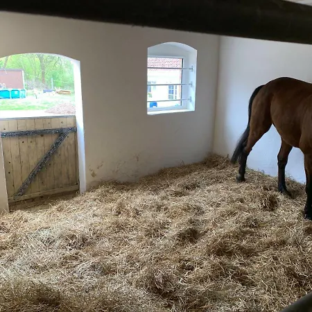 Nussbaumhof Mit Koppel Plath