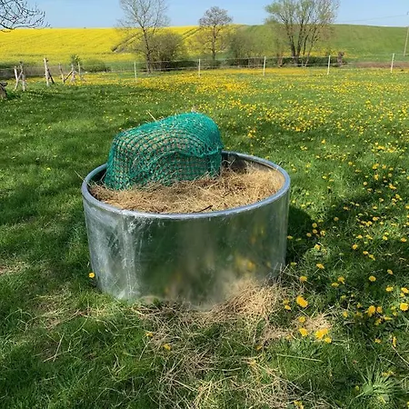 בית כפרי Nussbaumhof Mit Koppel Plath