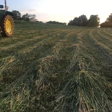 Nussbaumhof Mit Koppel *