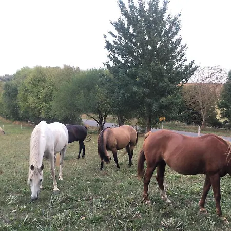 בית כפרי Nussbaumhof Mit Koppel Plath