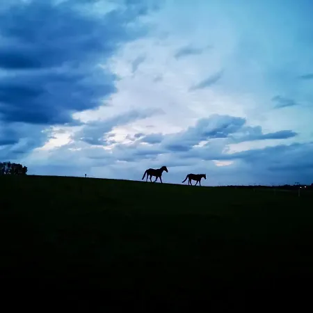 בית כפרי Nussbaumhof Mit Koppel *