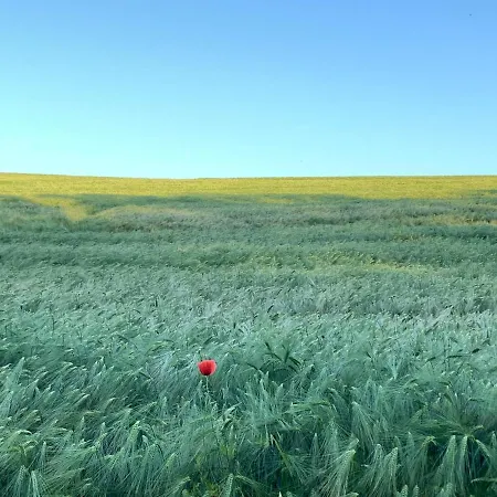 Nussbaumhof Mit Koppel *