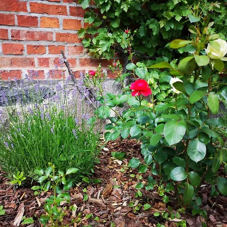 Nussbaumhof Mit Koppel Lantställe