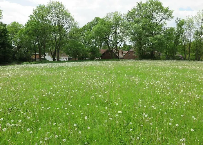 Nussbaumhof Mit Koppel Plath