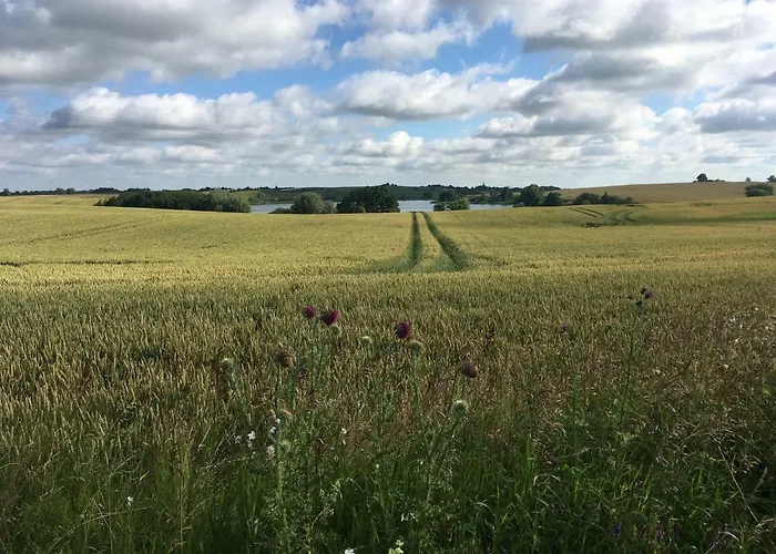 Nussbaumhof Mit Koppel *