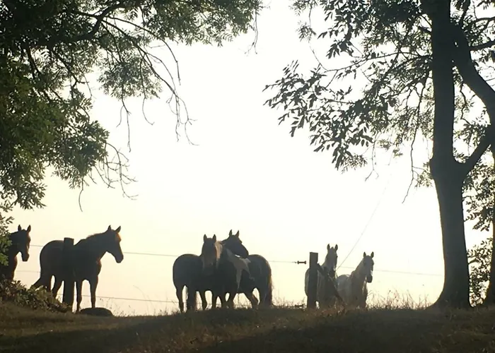 Nussbaumhof Mit Koppel * Plath