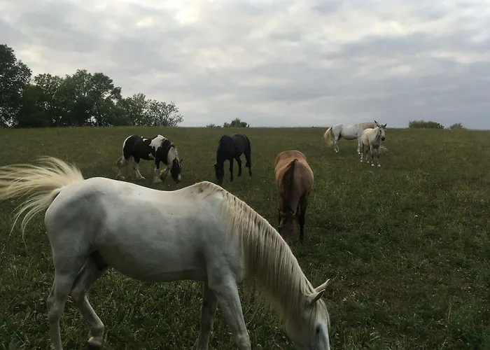 Nussbaumhof Mit Koppel