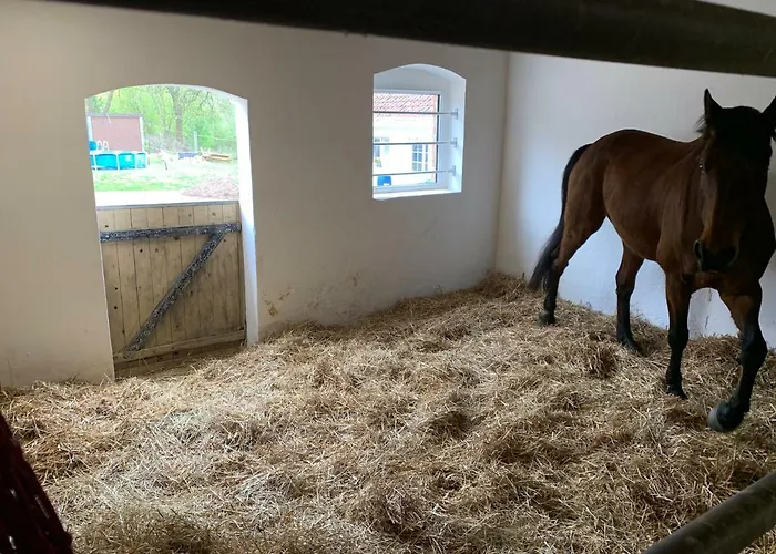 Nussbaumhof Mit Koppel Plath