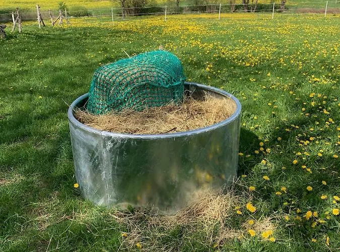 Gospodarstwo wiejskie Nussbaumhof Mit Koppel Plath